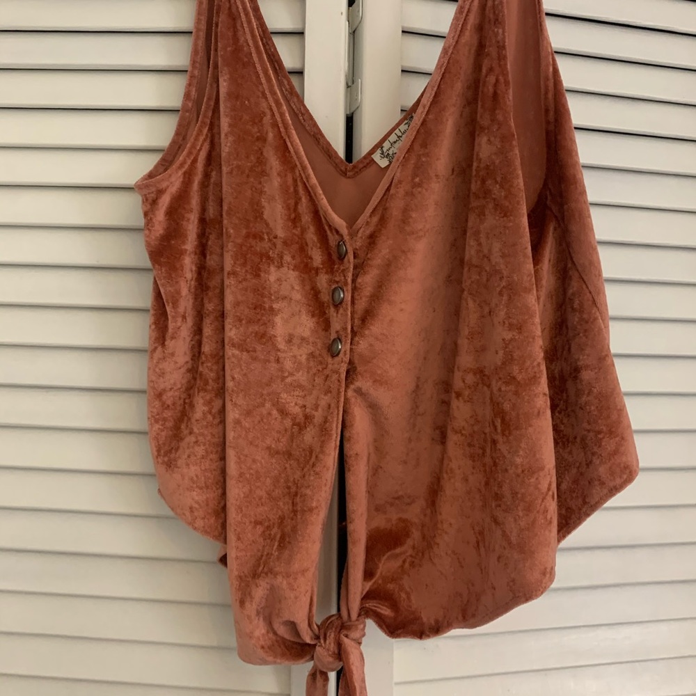 FREE PEOPLE PINK VELVET CROP TOP